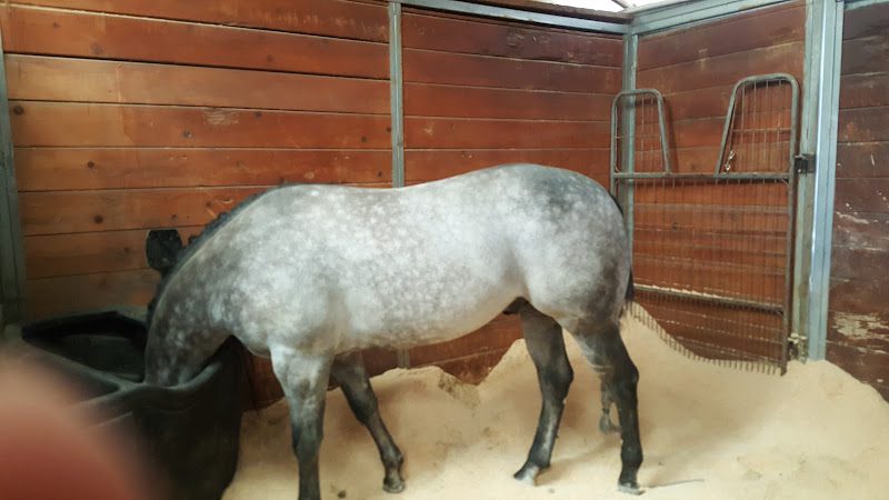 Special Events Gilroy by Los Cuates Restaurant en Gilroy, Ca