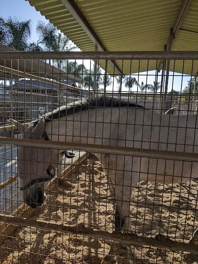 Rancho Bonanza en Chino, Ca