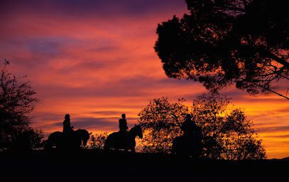 Sunset Ranch Hollywood en Los Ángeles, Ca