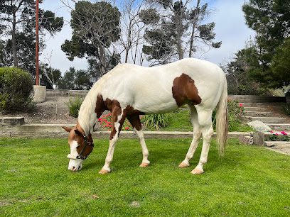 Rancho Bonanza en Chino, Ca